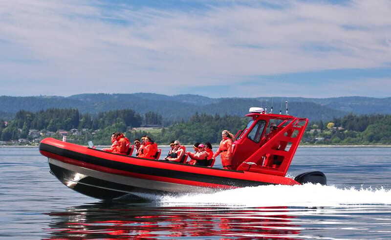 Vancouver, BC: Whale Watching Tour Small Zodiac with Guide - Who should book this zodiac tour