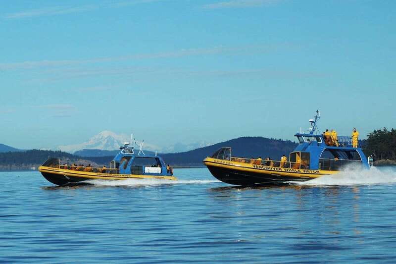 Vancouver, BC: Whale Watching Tour with Guide - Key points at a glance