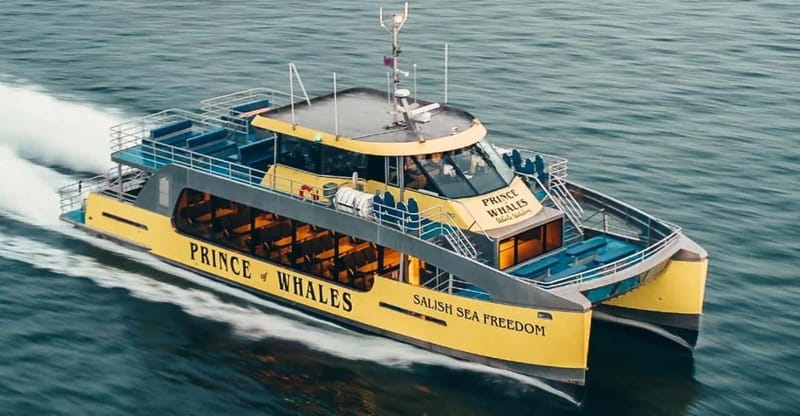 Vancouver: Covered Whale Watching Adventure with Free Photos - Is $188 good value?