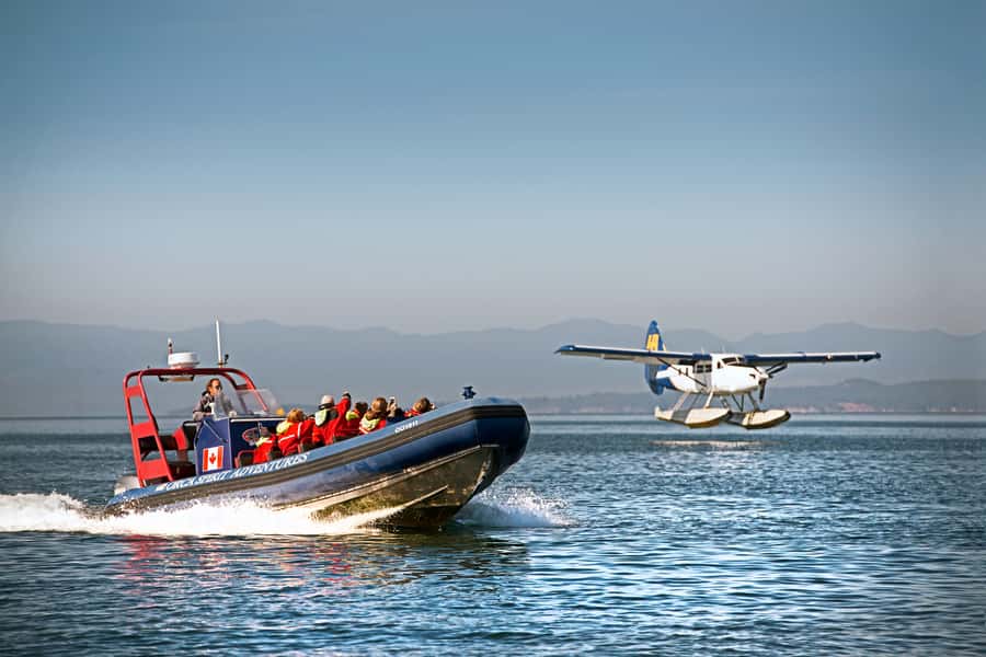 Vancouver: Day Trip to Victoria Seaplane with Whale Watching - Why this Vancouver to Victoria day trip works