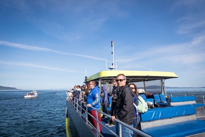 Vancouver Half-Day Whale Watching Adventure with Free Photos - Staying warm on Vancouver’s cool coastal water