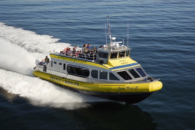 Vancouver Island Half-Day Whale Watching Tour - Telegraph Cove - Leaving Telegraph Cove Marina for Johnstone Strait
