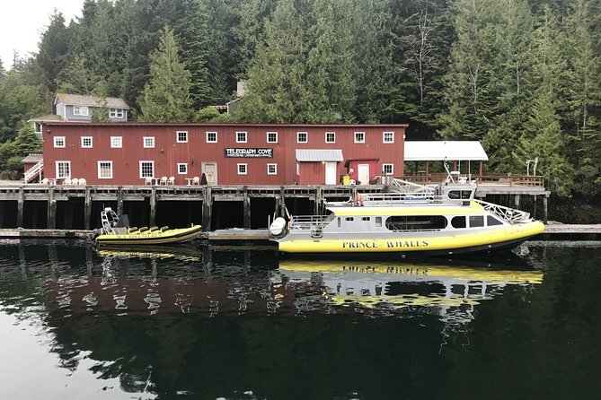 Vancouver Island Half-Day Whale Watching Tour - Telegraph Cove - Why the crew makes a difference
