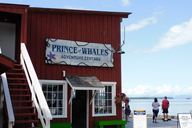 Vancouver Island Half-Day Whale Watching Tour - Telegraph Cove - Who should book this Telegraph Cove cruise?