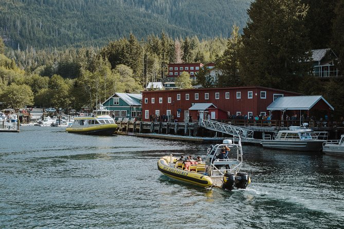 Vancouver Island Zodiac Whale Watching Adventure - Telegraph Cove - Key points at a glance