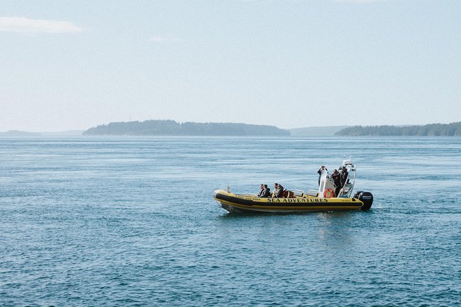 Vancouver Island Zodiac Whale Watching Adventure - Telegraph Cove - Why the 12-passenger Zodiac matters
