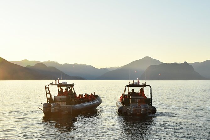 Vancouver's Intimate West Coast Whale Watching Experience - False Creek, downtown, and the changing city view