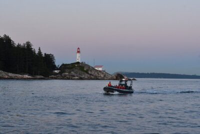 Vancouver’s Intimate West Coast Whale Watching Experience