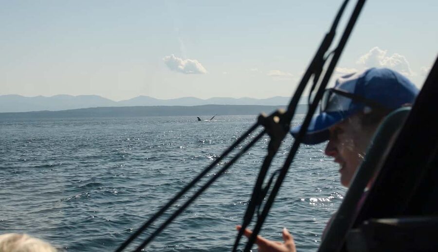 Vancouver: Zodiac Whale Watching Tour from Granville Island - The practical side of a Granville Island departure