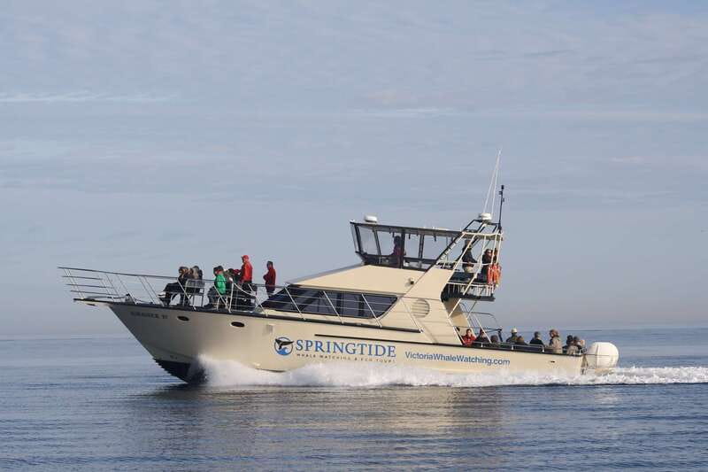 Victoria: 3-Hour Whale Watching Tour - Leaving the harbor and entering the Salish Sea