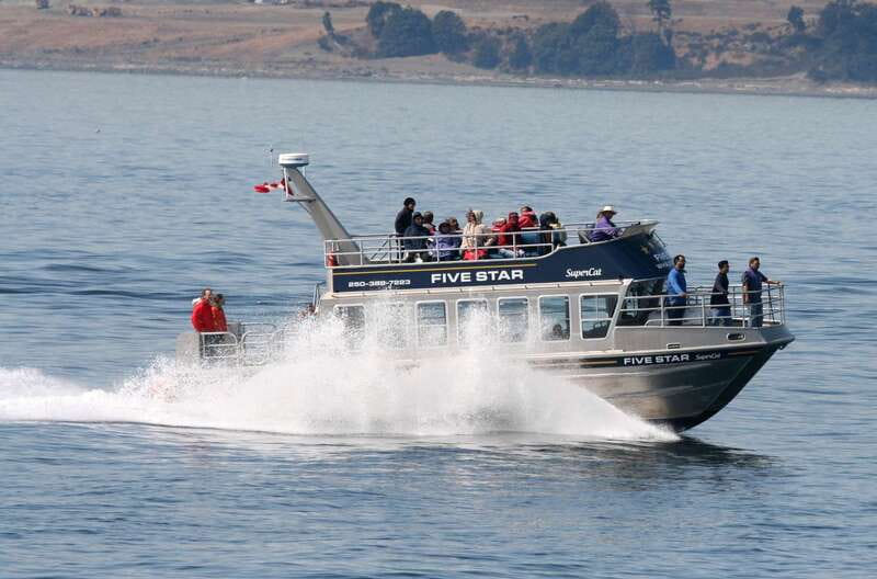 Victoria BC: 3-Hour Whale Watching Expedition - Starting beside the Fairmont Empress