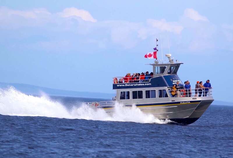 Victoria BC: 3-Hour Whale Watching Expedition - Is $130 a good value?