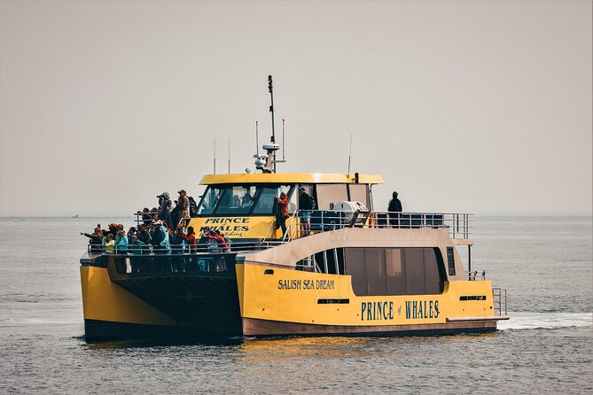 Victoria Half-Day Whale Watching Adventure with Free Photos - Is the $154.08 price fair?