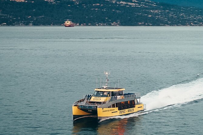 Victoria Half-Day Whale Watching Adventure with Free Photos - A spacious catamaran with indoor warmth