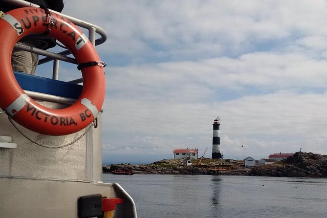 Victoria Shore Excursion: Whale-Watching Cruise with Expert Naturalist Guides - Is $133.71 good value?