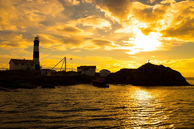 Victoria Sunset Whale-Watching Cruise - Open Scarab or semi-covered catamaran?