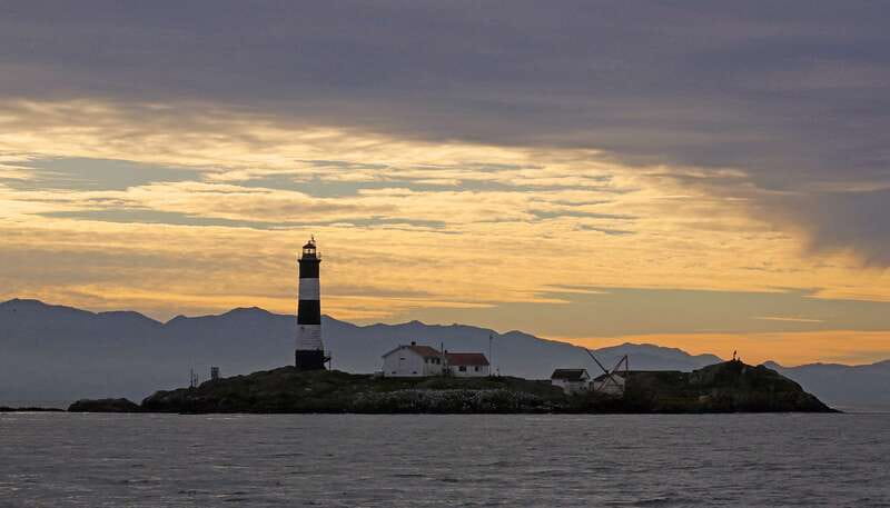 Victoria: Sunset Whale Watching Tour on an Open Scarab Boat - Searching for whales with an onboard naturalist