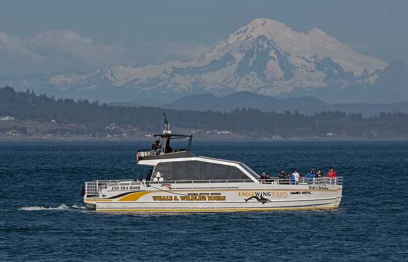 Victoria: Sunset Whale Watching Tour on Semi-Covered Boat - Why the sunset departure works so well