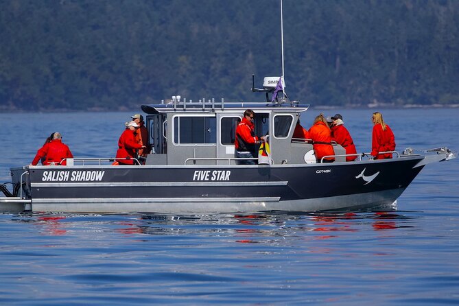 Victoria Ultimate Marine Whale & Wildlife Tour - Why the wildlife rules matter