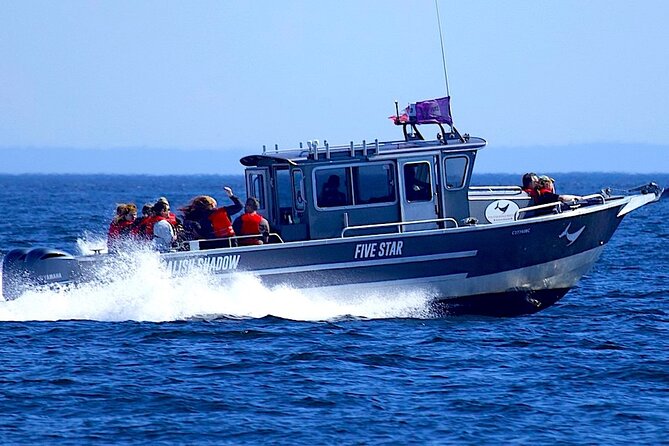 Victoria Ultimate Marine Whale & Wildlife Tour - A route shaped by recent wildlife activity