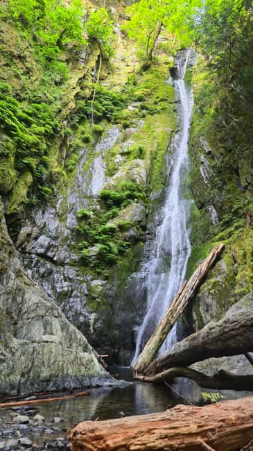 Victoria Waterfall, Skywalk, Beach Picnic, Castle and Whales - Why this day works well around Victoria
