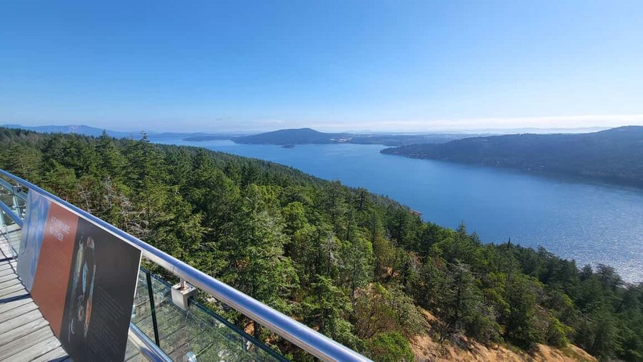 Victoria Waterfall, Skywalk, Beach Picnic, Castle and Whales - Small-group transport and the comfort question