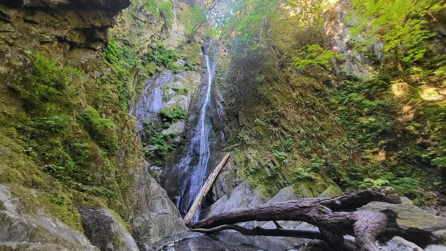 Victoria Waterfall, Skywalk, Beach Picnic, Castle and Whales - Who should book this Victoria day tour?