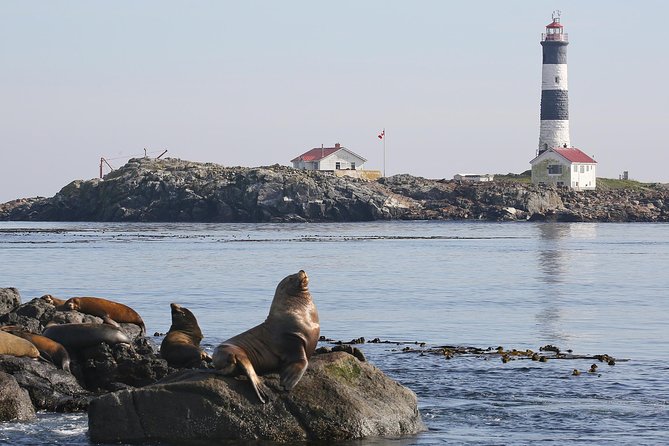 Victoria Whale and Wildlife Cruise - Is $146.17 a fair price?