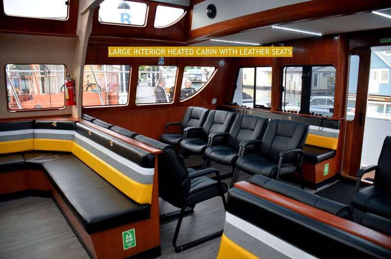 Victoria: Whale and Wildlife Semi-Covered Boating Tour - Key points before you book