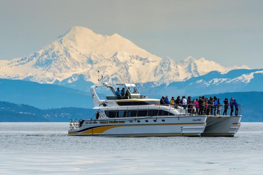 Victoria: Whale and Wildlife Semi-Covered Boating Tour - The catamaran, clothing, and comfort