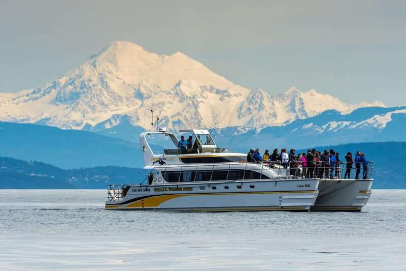 Victoria: Whale and Wildlife Semi-Covered Boating Tour - What I would bring and how I would plan the day