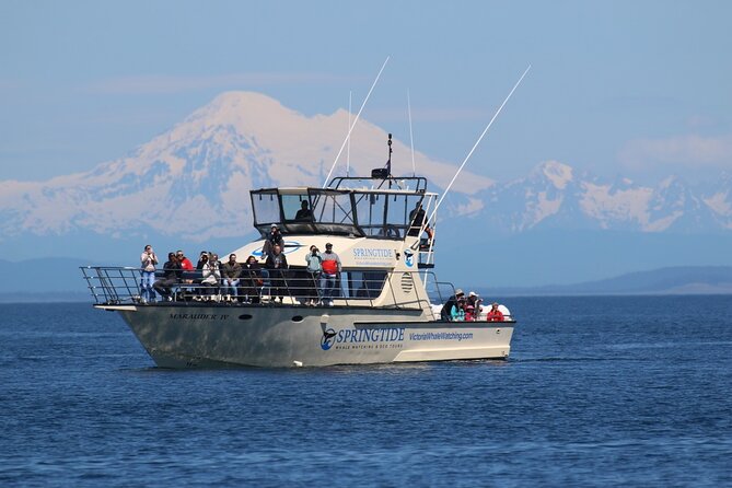 Victoria Whale Watch Tour - Key points to know before booking