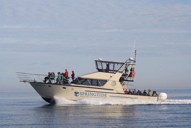 Victoria Whale Watch Tour - Searching the Salish Sea for whales