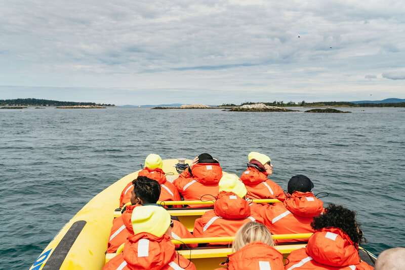 Victoria: Whale Watching Adventure in a Zodiac Boat - Getting suited up for cold water