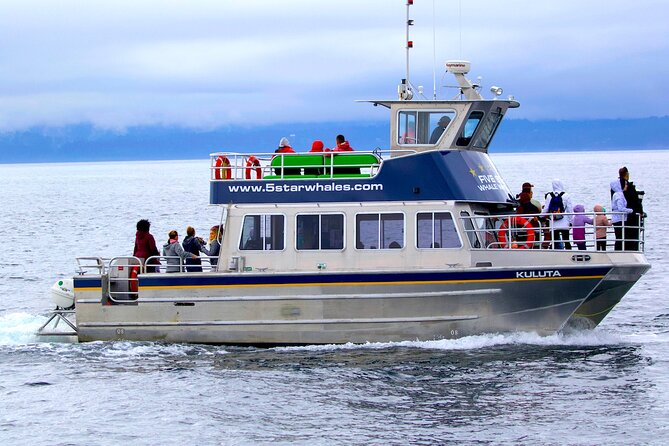 Victoria Whale Watching Cruise with Expert Naturalists - Key points at a glance