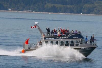 Victoria Whale Watching Cruise with Expert Naturalists