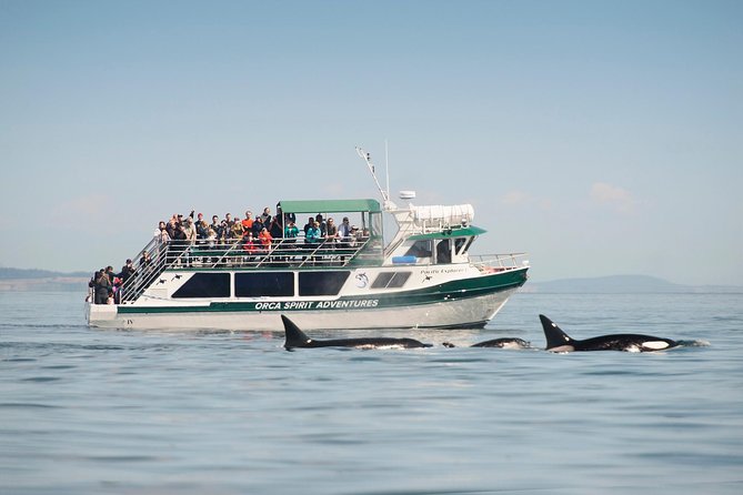 Victoria Whale Watching Tour on a Covered Vessel - Key points at a glance