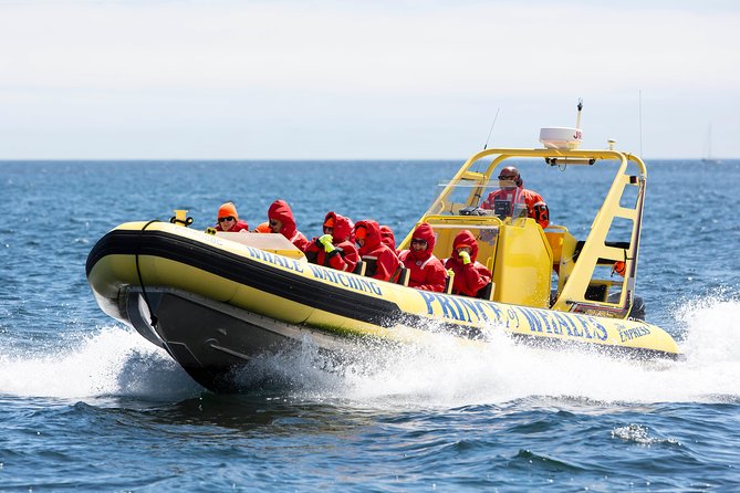 Victoria Zodiac Boat Whale Watching Adventure - The suits help, but dress for the ocean