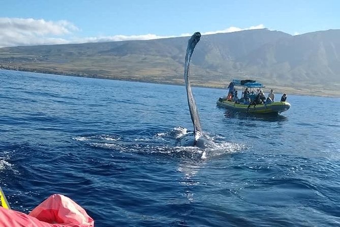 VIP (12 Guests ONLY) Ultimate Whale Watch - Leaving Lahaina Harbor in a small raft