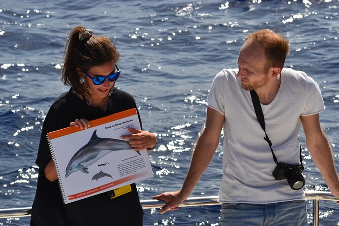 VipDolphins Luxury Whale Watching - Why the small boat changes the experience