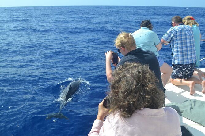 VipDolphins Luxury Whale Watching - Snacks, champagne, and a relaxed pace