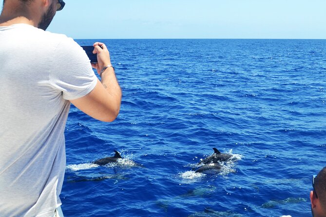 VipDolphins Luxury Whale Watching - Swimming and snorkeling below Cabo Girao