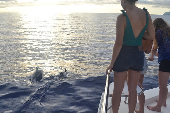 VipDolphins Luxury Whale Watching - Weather, timing, and cancellation details