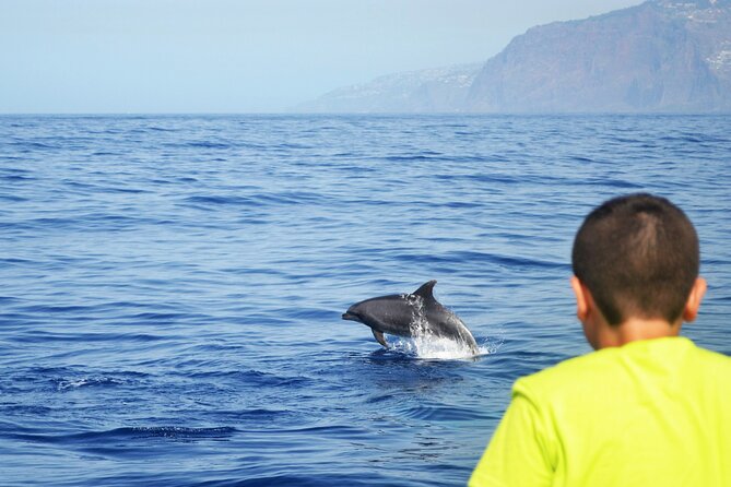 VipDolphins Luxury Whale Watching - Who will enjoy this cruise most?