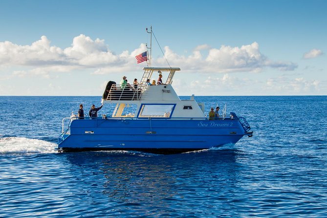 Waikiki Deluxe Catamaran Whale Watch - The boat, drinks, and comfort details