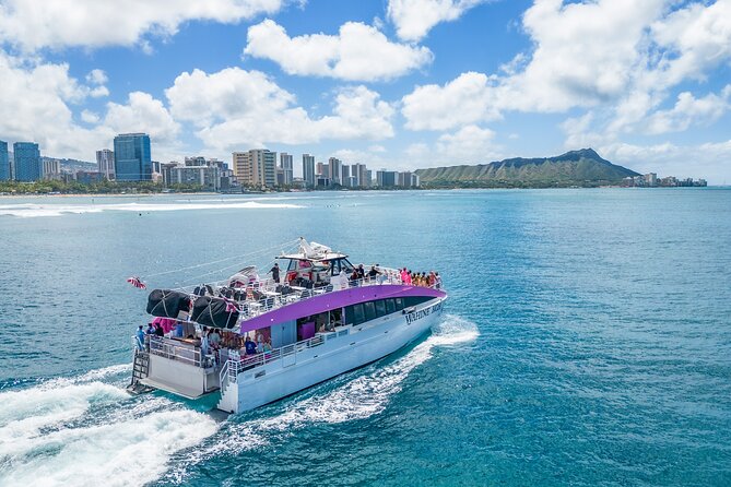 Waikiki, Oahu 2-Hour Whale Watching: Guaranteed Sightings - Setting out from Pink Sails Waikiki