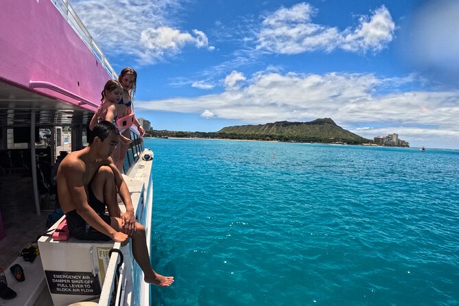 Waikiki, Oahu 2-Hour Whale Watching: Guaranteed Sightings - What you may see besides humpbacks