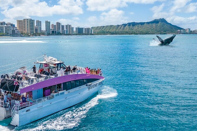 Waikiki, Oahu 2-Hour Whale Watching: Guaranteed Sightings - The motion, spray, and seasickness question