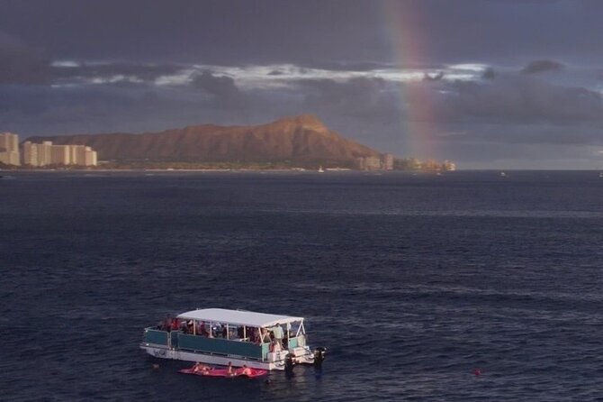 Waikiki Whale Watching Cruise - Key Points Before You Board