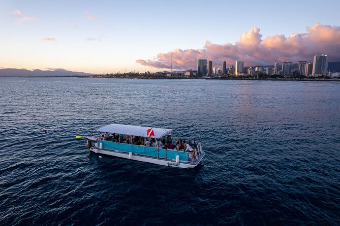 Waikiki Whale Watching Cruise - Weather, Minimum Numbers, and Cancellation Timing